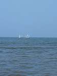 DVC00261.jpg
